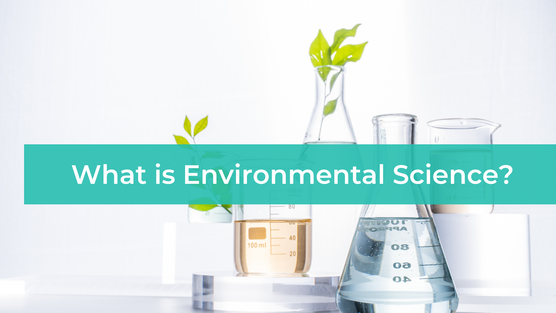 What is Environmental Science?